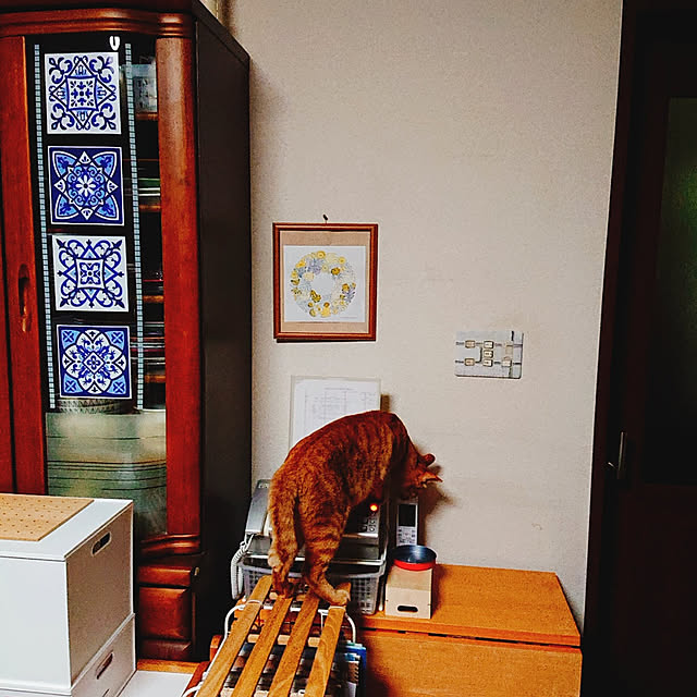 kikiさんの実例写真