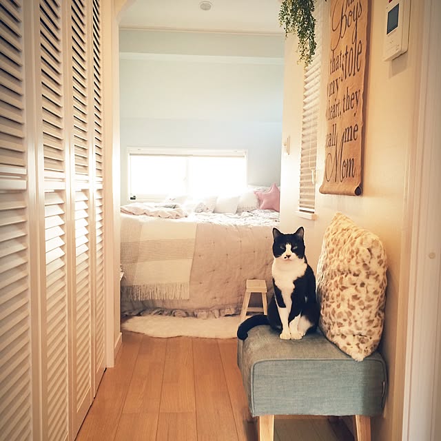 lovecatさんの実例写真