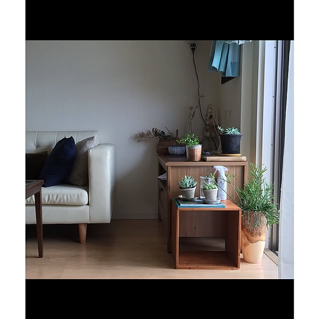 ECCOさんの実例写真