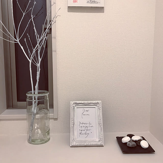 Satokoさんの実例写真