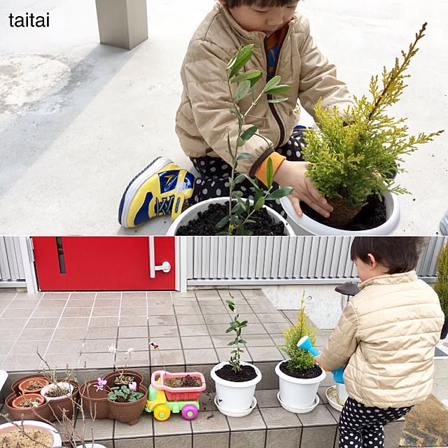 taitaiさんの実例写真