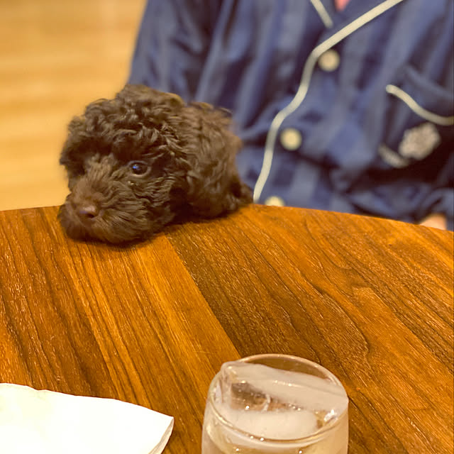 sasaeriさんの実例写真