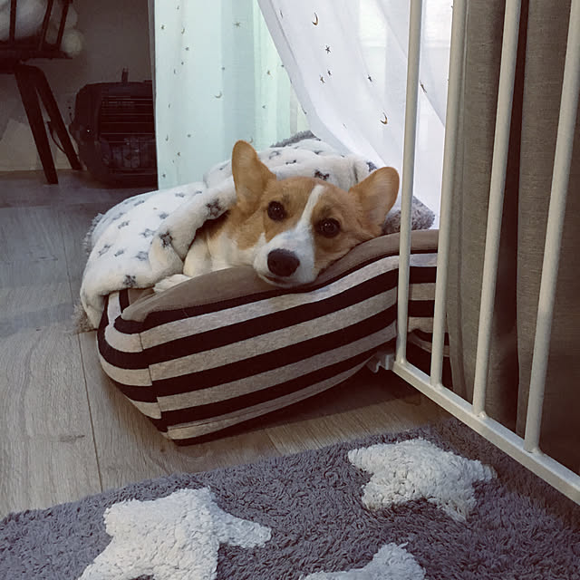 3ayuさんの実例写真
