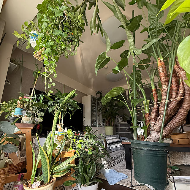 Aqettyさんの部屋