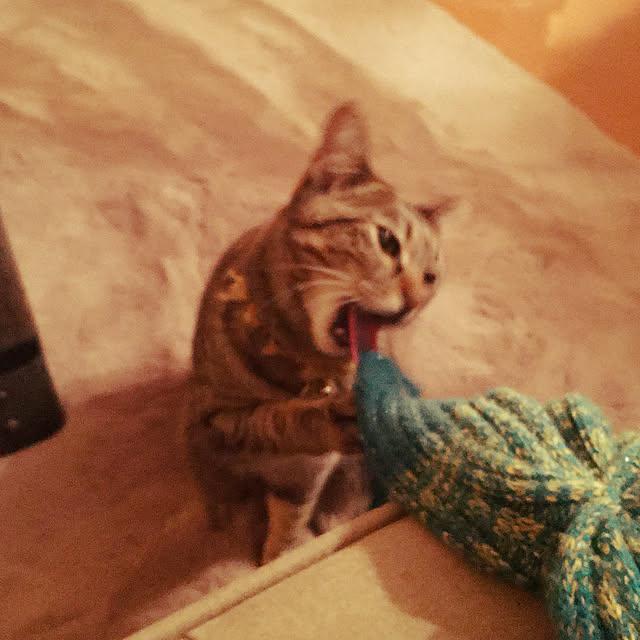 Mさんの実例写真
