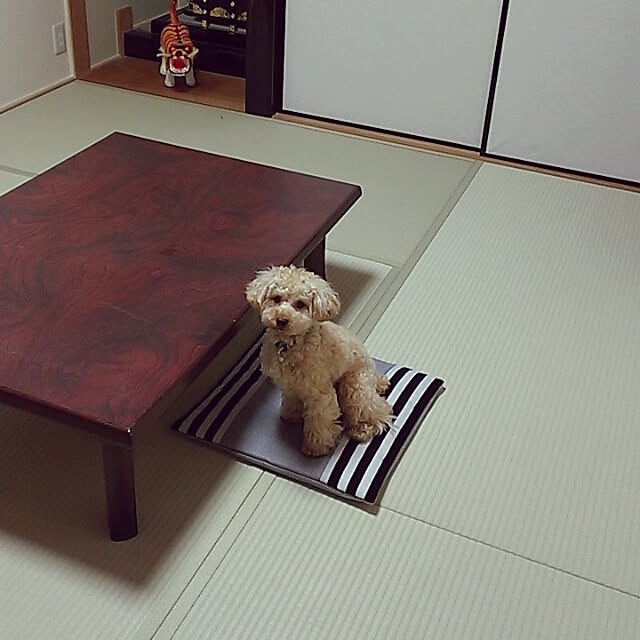jun15さんの実例写真