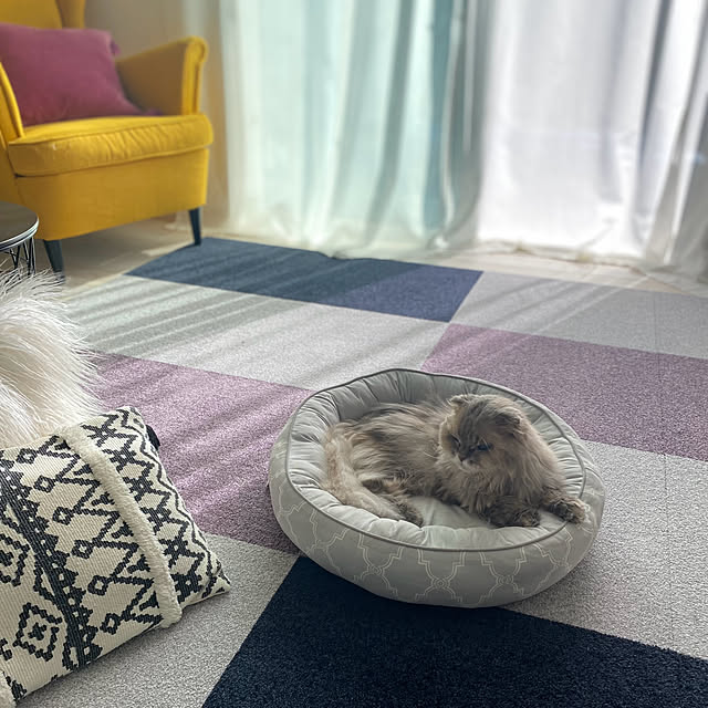 Mahoさんの部屋