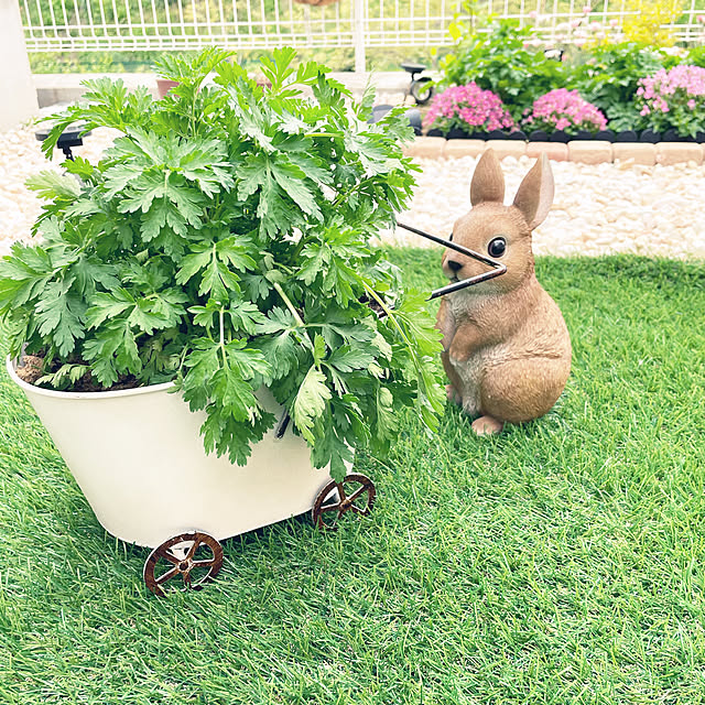 maple.little.houseさんの実例写真