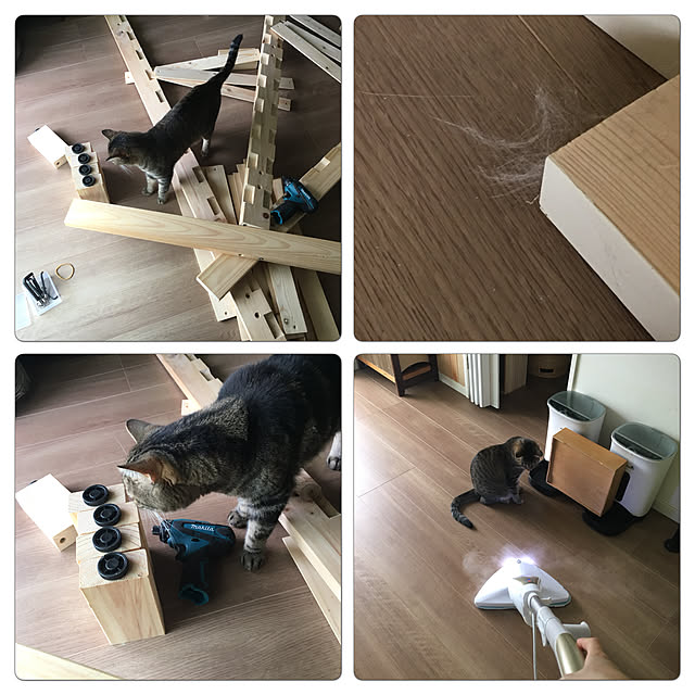 mikomaruさんの実例写真