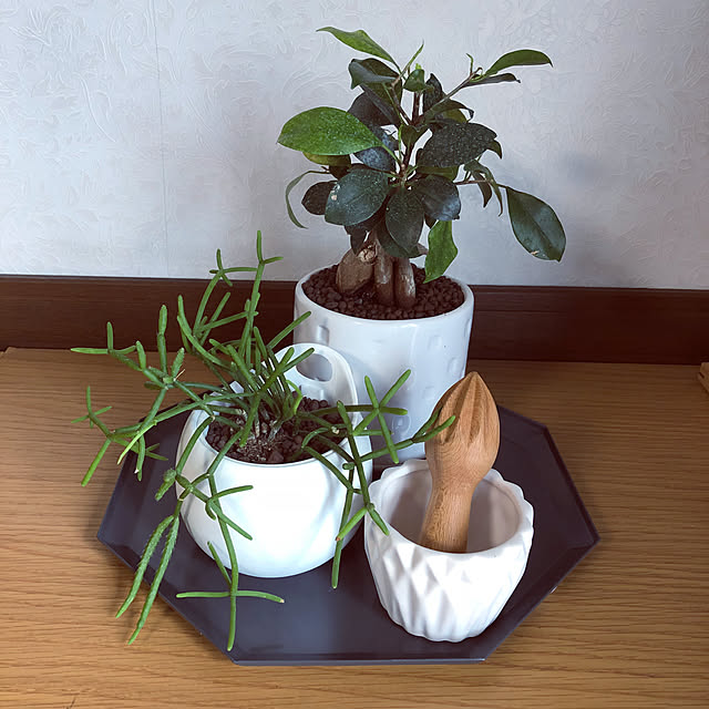 spicemasterさんの実例写真