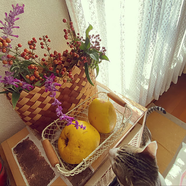 Lufuさんの実例写真