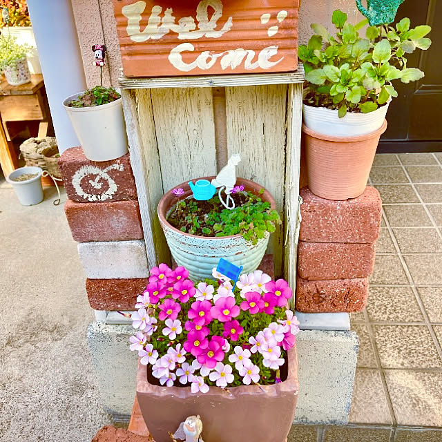 takakoさんの実例写真
