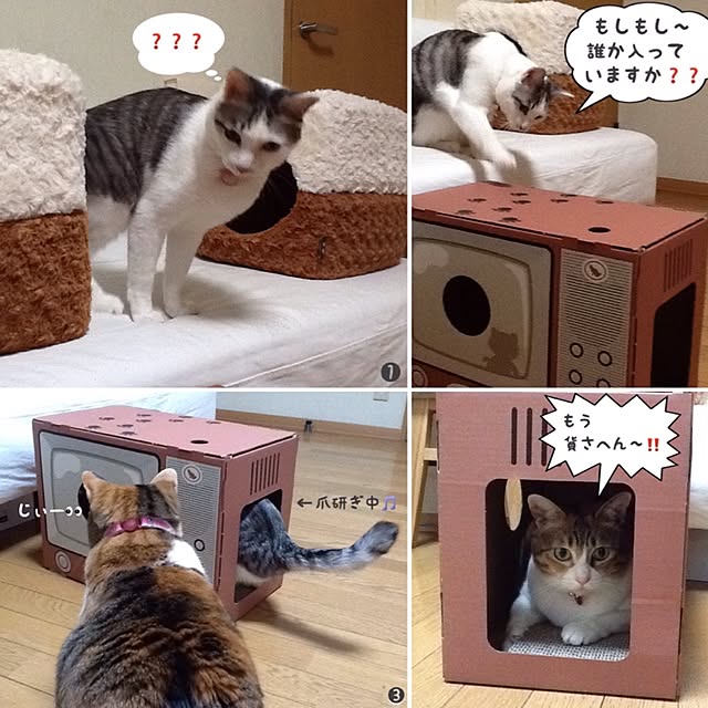 Mikaさんの実例写真
