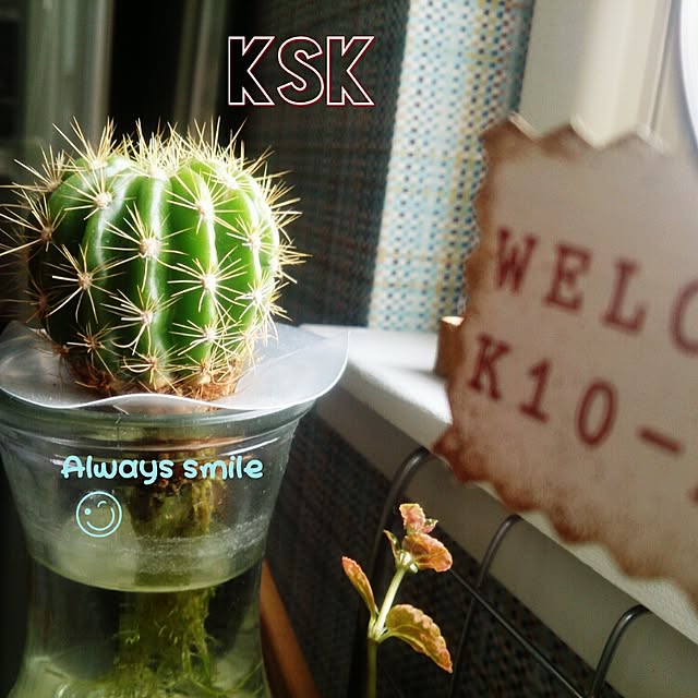 kskさんの実例写真
