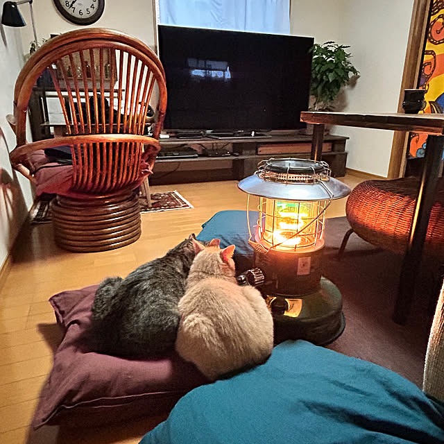 mikan161さんの部屋