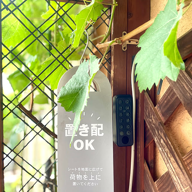 Ma-saさんの実例写真