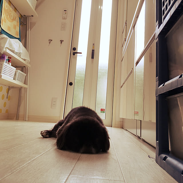 harutomoさんの実例写真