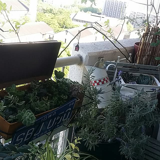 akkomamaさんの実例写真