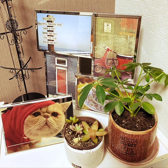 knametake7さんの実例写真