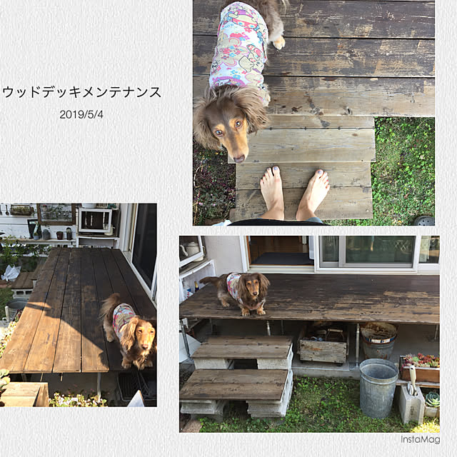 yupponさんの実例写真