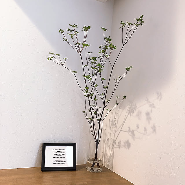 観葉植物/リビングのインテリア実例 - 2020-04-18 06:49:28