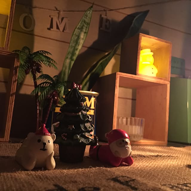 coralさんの実例写真