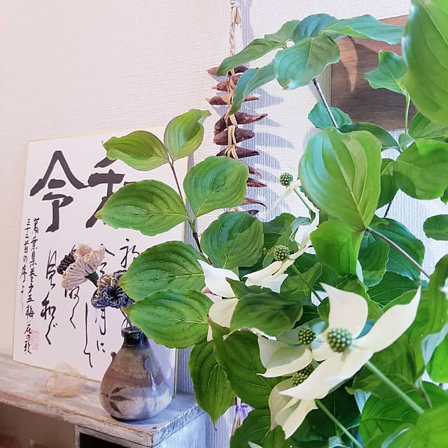 Mikaさんの実例写真