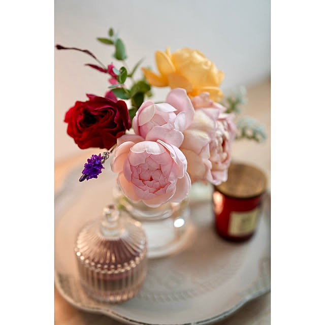 haruisabelさんの部屋