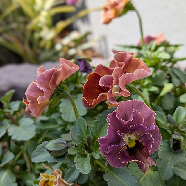 kumijiさんの部屋