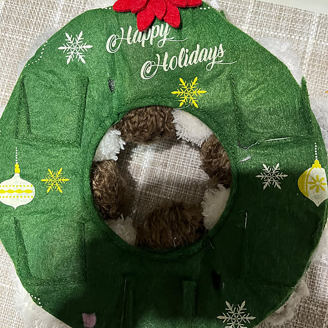 miiyanさんの部屋