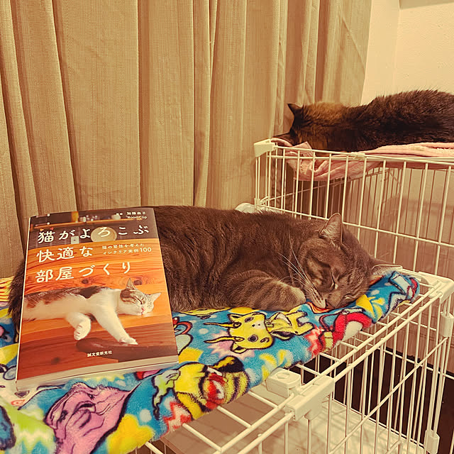 Pisaさんの実例写真