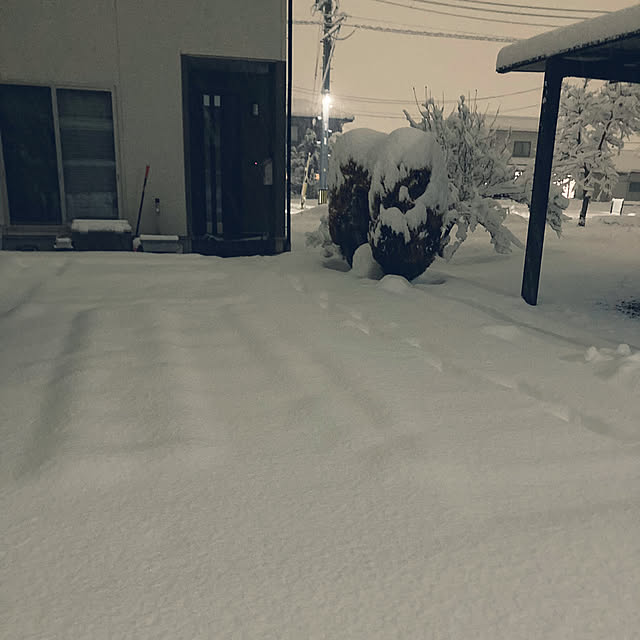 Rさんの実例写真