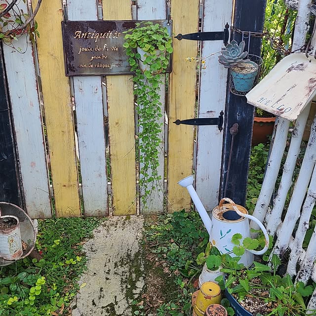 nikomamaさんの実例写真