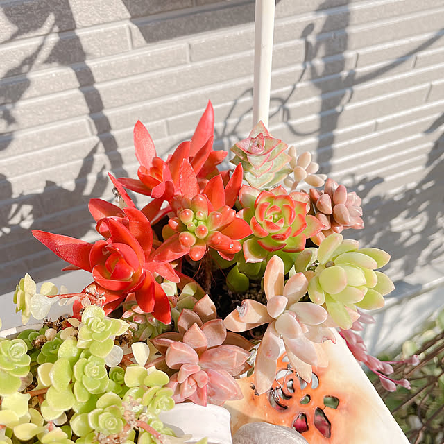 akiko-ovさんの実例写真