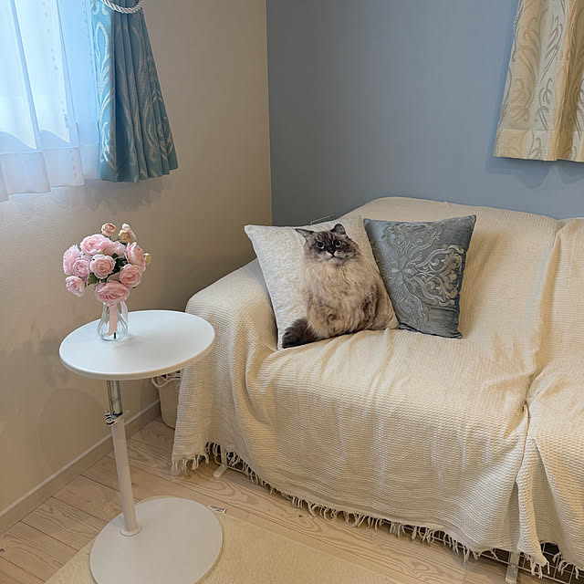 niuさんの実例写真