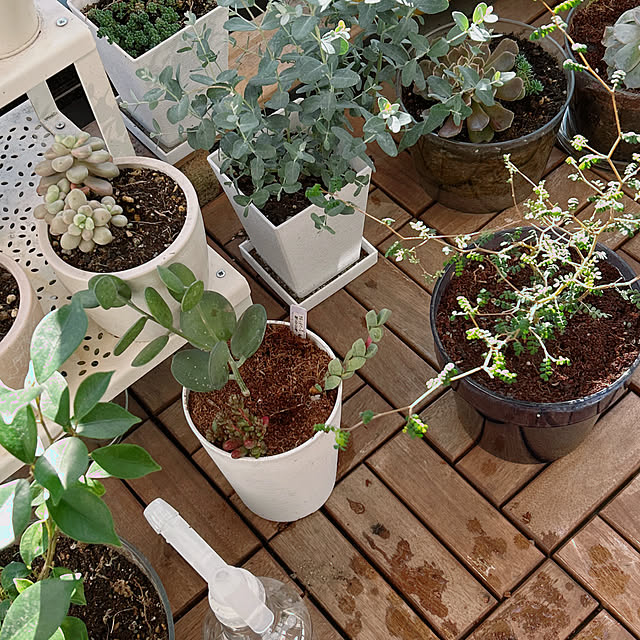 ruuuさんの実例写真