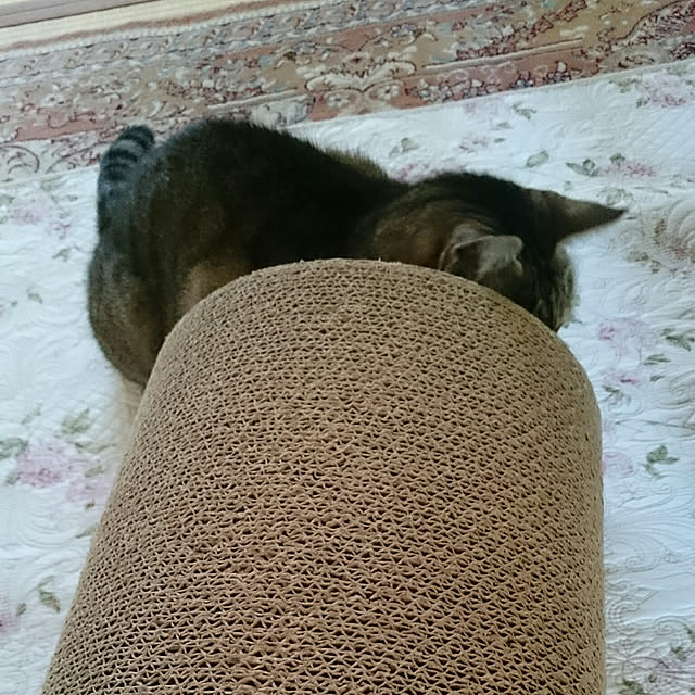 lilyさんの実例写真