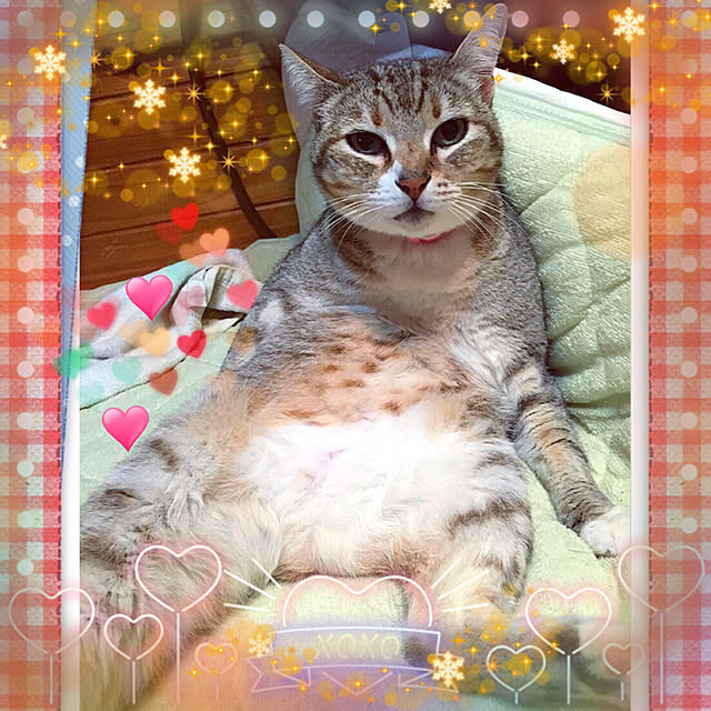 Qp2ncS5y7P7mEcgさんの実例写真