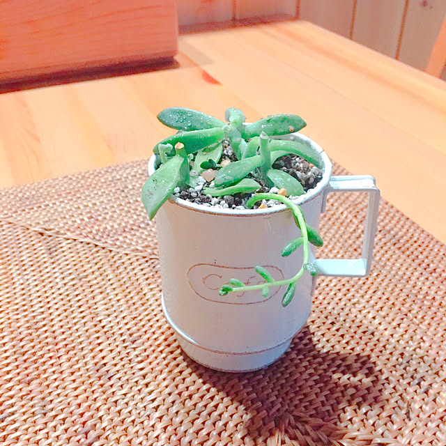 chie320510さんの実例写真