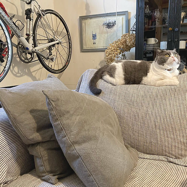 mohayaeteさんの実例写真