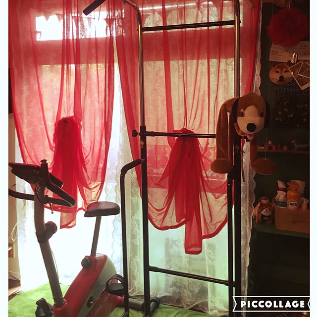 shibaさんの実例写真
