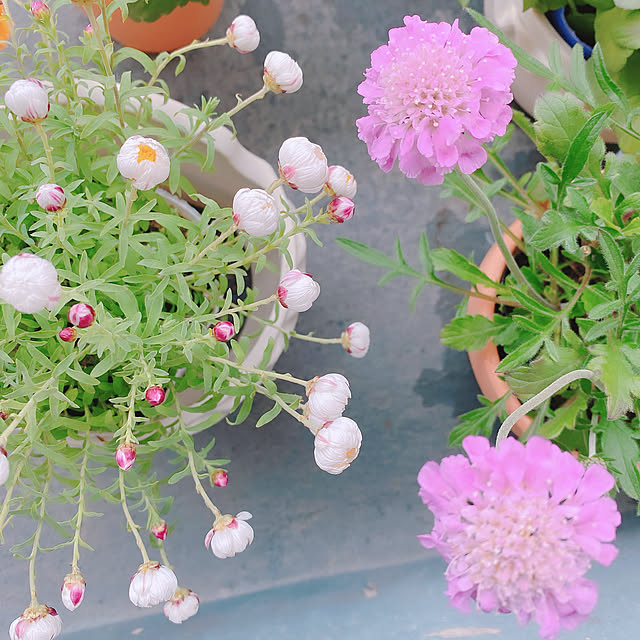 smallroomさんの実例写真