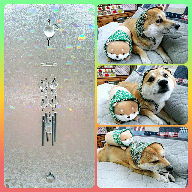 nanaさんの実例写真