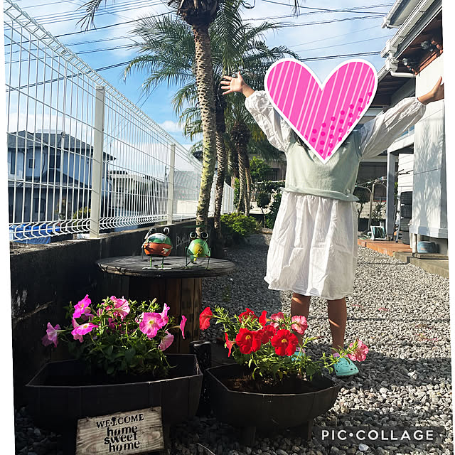 izuさんの実例写真