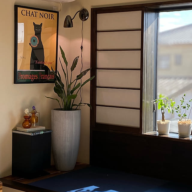 Tomokoさんの実例写真