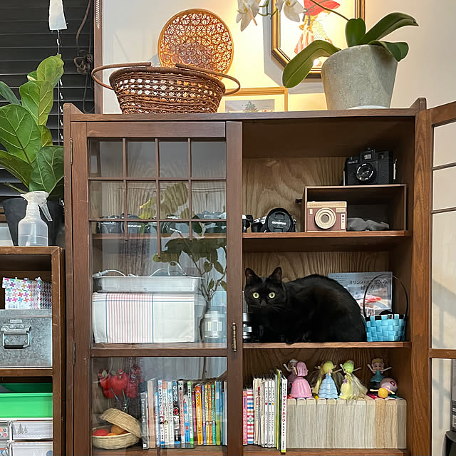 mutsuさんの部屋