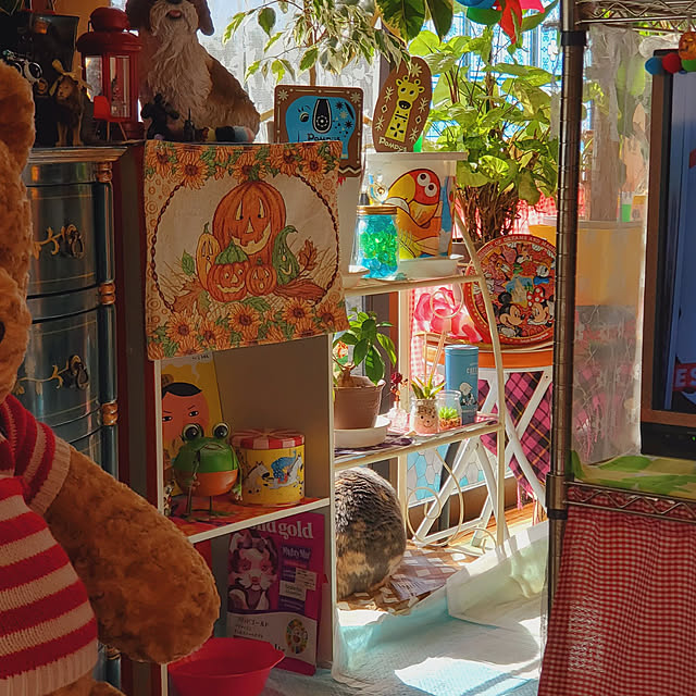 kumutanさんの実例写真