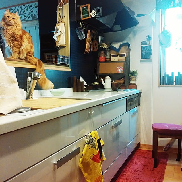 l..tomesanさんの実例写真