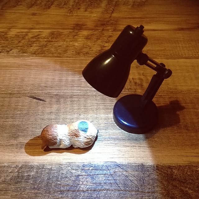 neko3710さんの実例写真