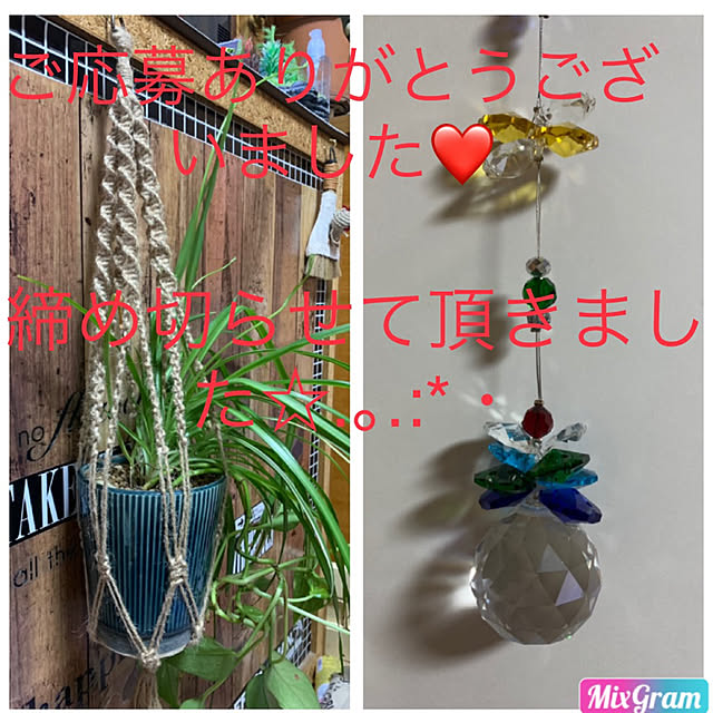 sakuranboさんの実例写真